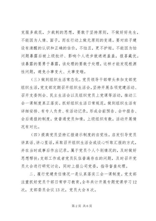 党支部书记抓党建工作报告.docx