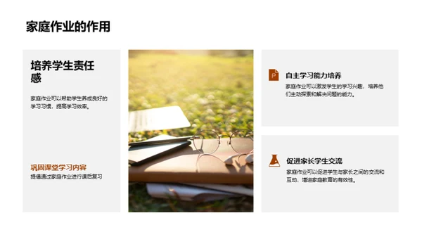 跨学科知识与生活