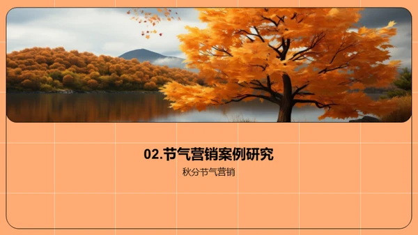 秋分商业策略探讨