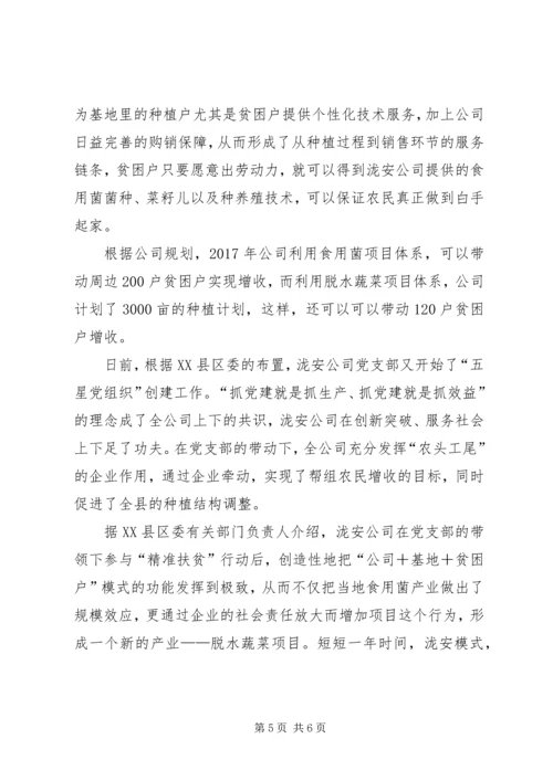 抓党建就是抓经济促发展 (3).docx