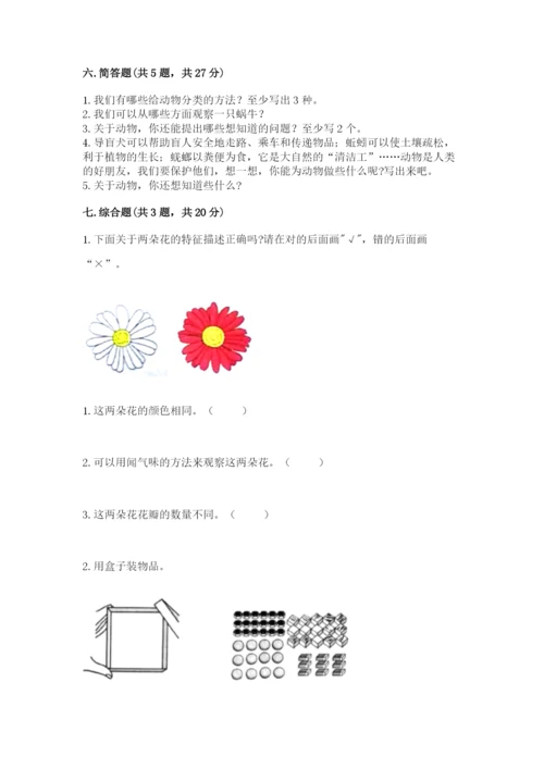 教科版小学科学一年级下册期末测试卷（网校专用）.docx