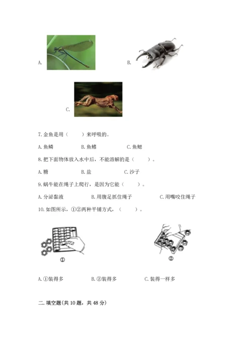 教科版一年级下册科学期末测试卷（精练）.docx