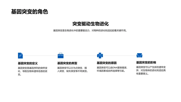 生物进化原理讲解PPT模板