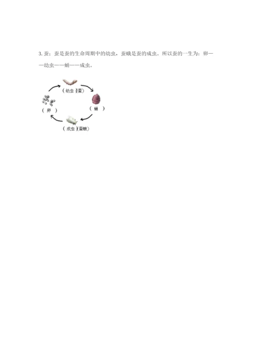 教科版科学三年级下册 期末测试卷及参考答案【研优卷】.docx