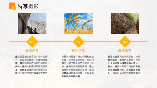 黄色简约风个人作品集PPT模板