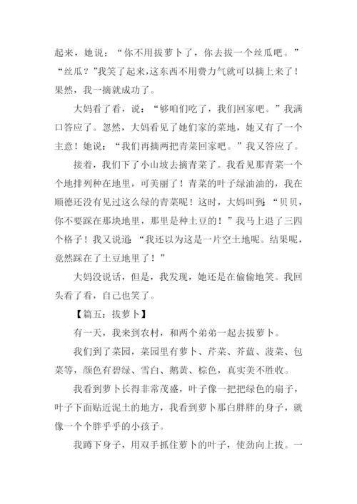 拔萝卜作文0.docx