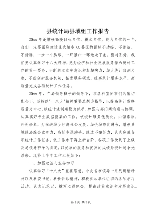 县统计局县域组工作报告.docx