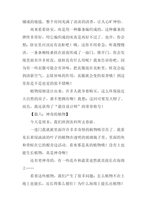 神奇的植物作文.docx
