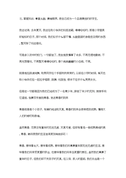 有关高中青春的作文集锦五篇