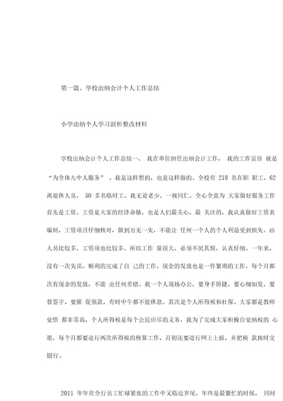 小学出纳个人学习剖析整改材料