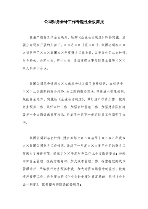 公司财务会计工作专题性会议简报