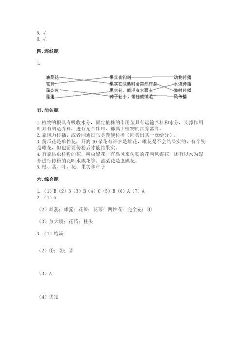 教科版科学四年级下册第一单元《植物的生长变化》测试卷（a卷）.docx
