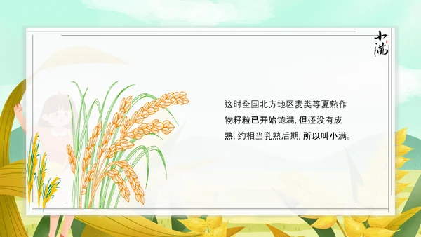 食粮丰收麦穗小满PPT模板