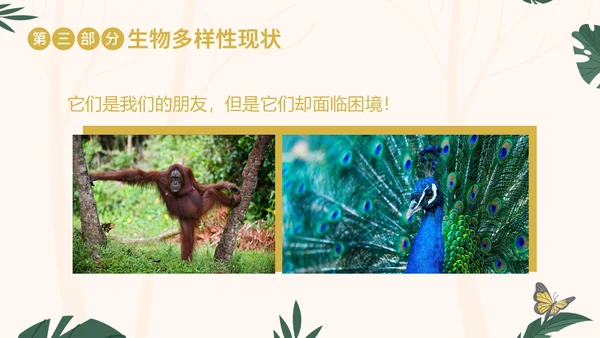 国际生物多样性日生物多样性知识宣讲PPT课件