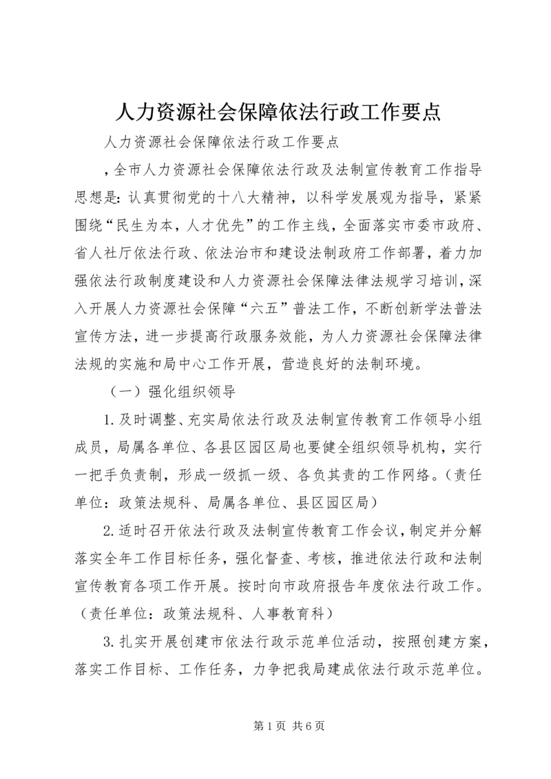 人力资源社会保障依法行政工作要点.docx