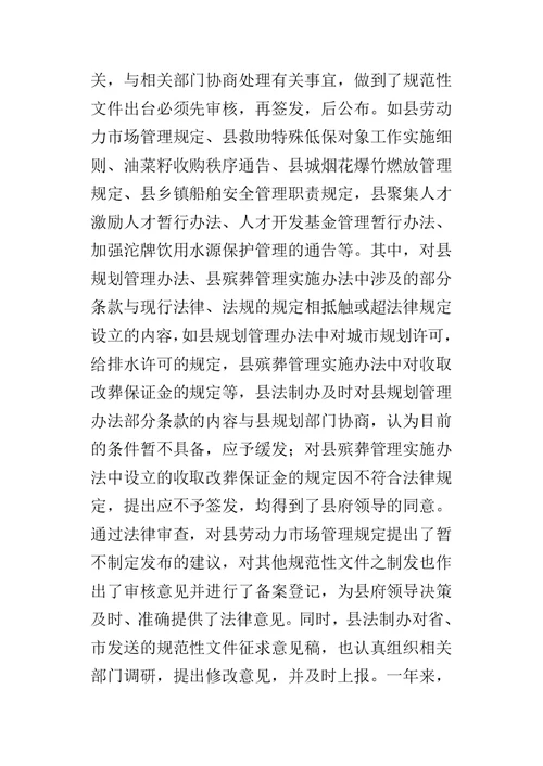 XX县某年度行政执法责任制工作自查报告