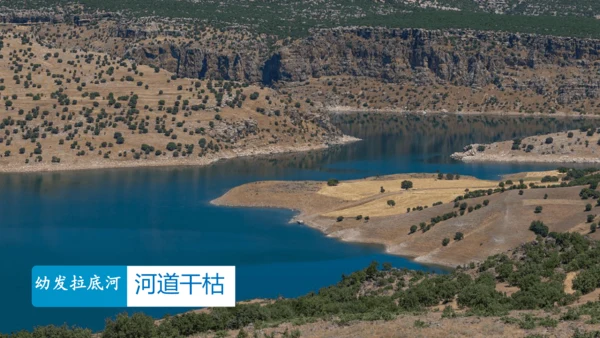 人教版七下 7.1《自然环境》 第3课时 多样的气候  课件