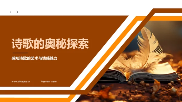 诗歌的奥秘探索