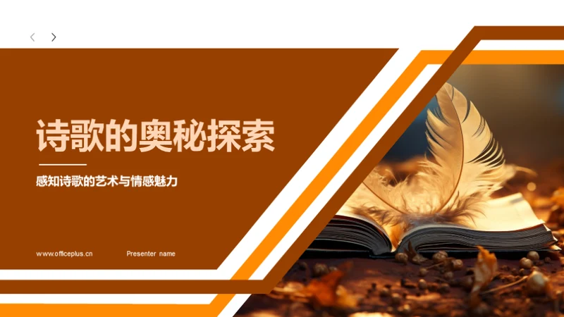 诗歌的奥秘探索