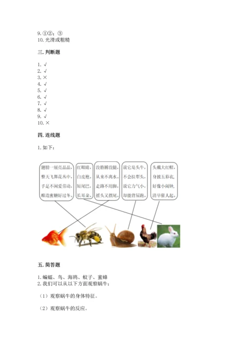 教科版一年级下册科学期末测试卷【名师推荐】.docx