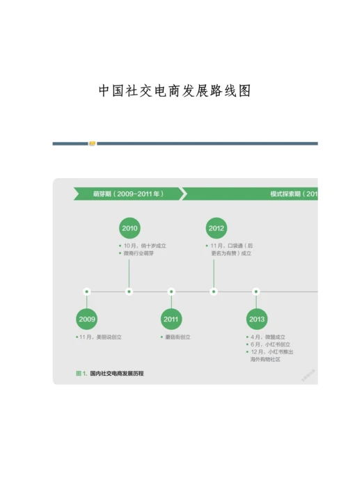 中国社交电商发展路线图.docx