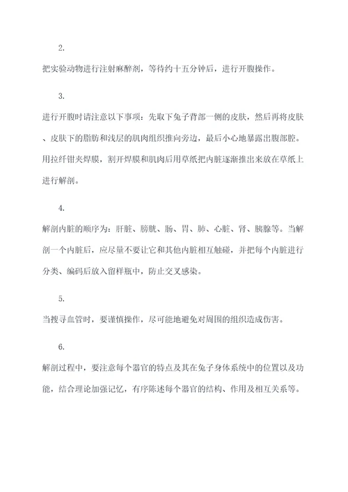 怎么写解剖兔子的实验报告