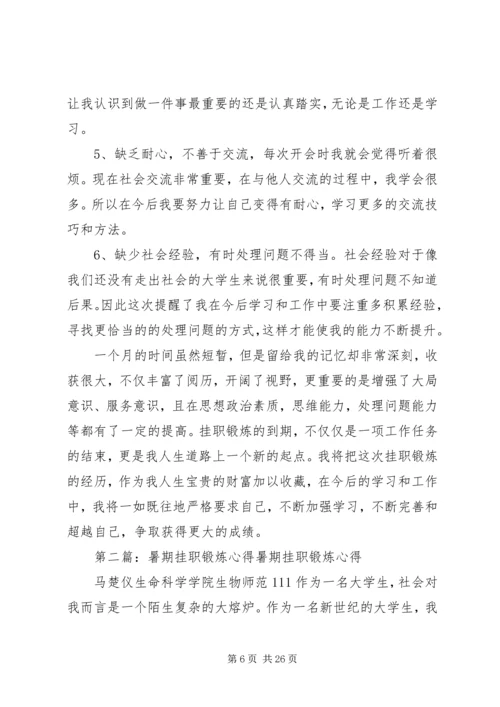 暑期挂职锻炼心得.docx