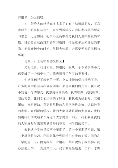 上初中的感受作文500字.docx
