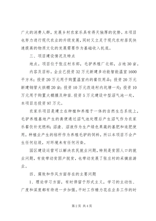 某村党风廉政建设自查自纠报告.docx
