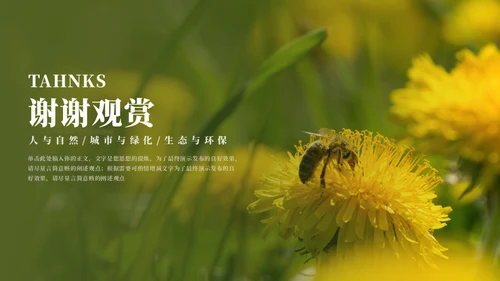 蜜蜂采蜜自然与科学通用PPT模板