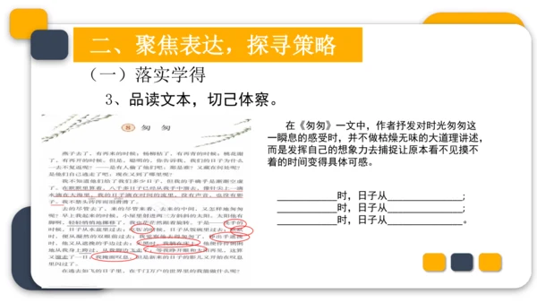 统编版六年级语文下册第三单元教材分析课件