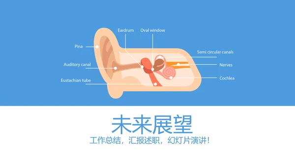 耳科进修学习工作汇报动态PPT