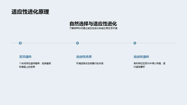 动物适应性秘密