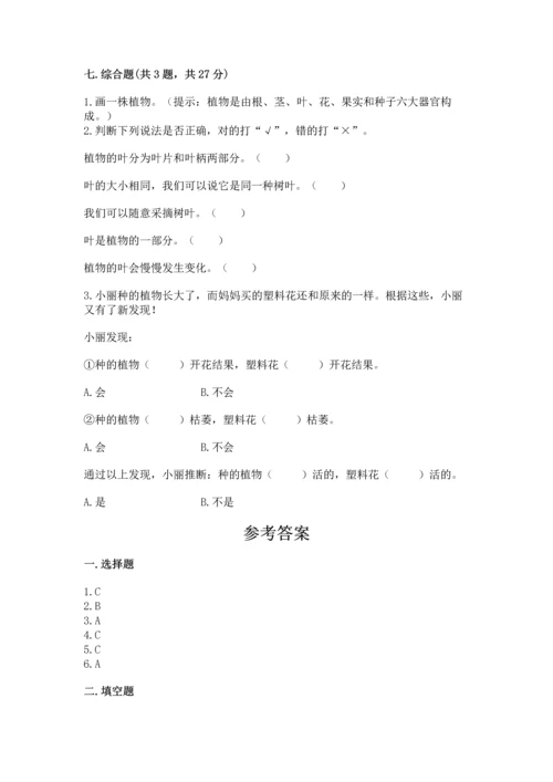 教科版科学一年级上册第一单元《植物》测试卷（突破训练）word版.docx