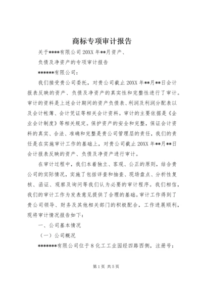 商标专项审计报告 (3).docx