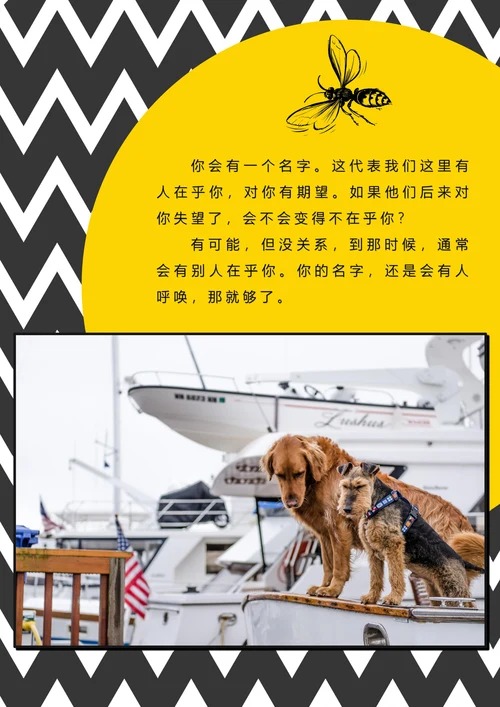相册潮流商务风艺术风画册纪念册照片集