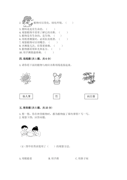 教科版一年级上册科学期末测试卷（考点精练）.docx