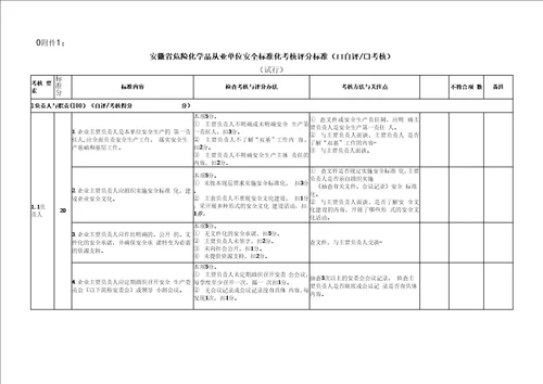 标准化考核评分标准