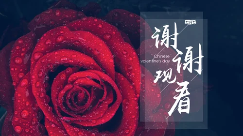 红玫瑰七夕情人节通用PPT模板