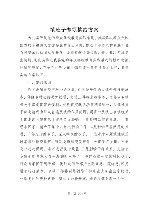 镇班子专项整治方案.docx