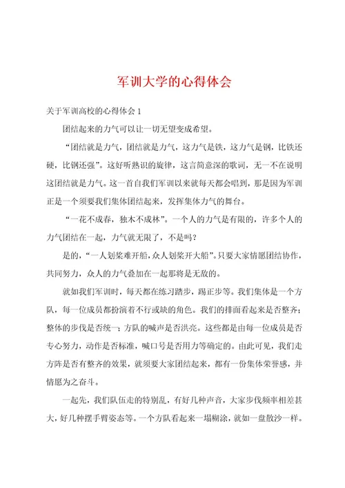军训大学的心得体会