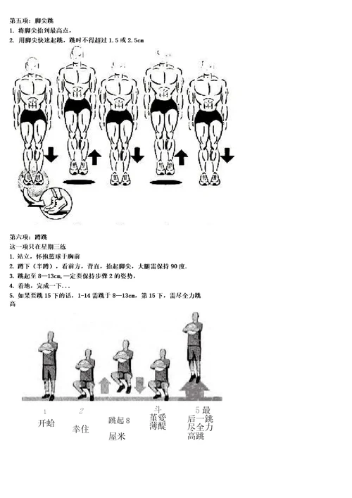 美国著名弹跳力训练附图,计划表