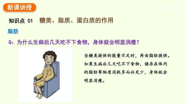 4.2.1食物中的营养物质-七年级生物下学期同步精品课件（2024人教版）(共43张PPT)