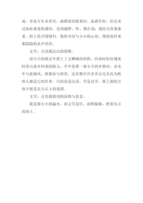 文学是灯满分作文.docx