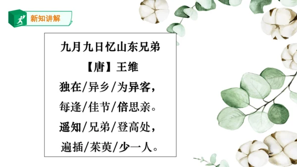 三年级下册9.《古诗三首》第二课时