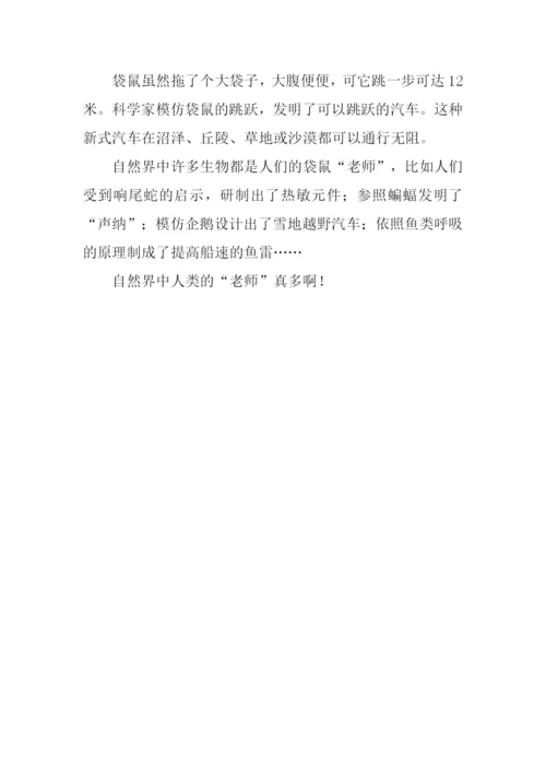 人类的老师作文300字.docx