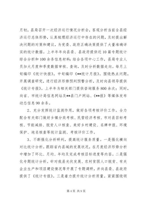 统计局XX年上半年工作总结及下半年工作安排精编.docx