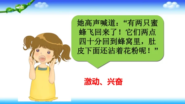 14《蜜蜂》课件