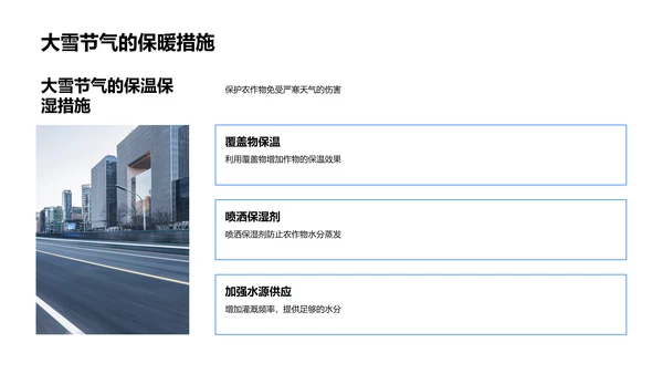大雪节气农事规划PPT模板