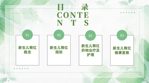绿色清新风新生儿红臀护理预防以及处理培训ppt